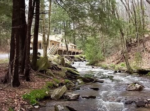 Bear Paw Falls, House from Creek
