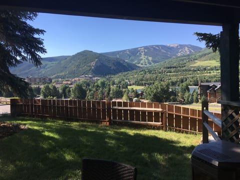 Summertime deck view
