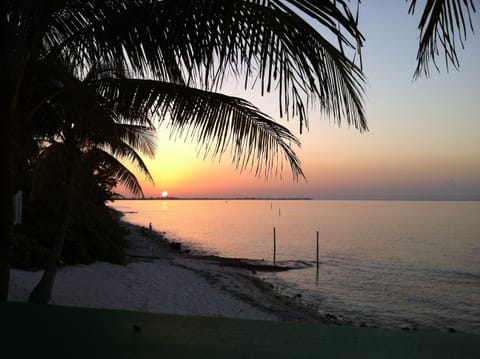 On the beach, sun loungers, beach towels