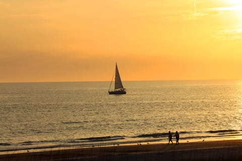 On the beach, sun loungers