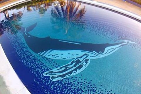 Pool features humpback whale pushing her newborn to the surface for 1st breath.
