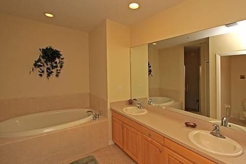 Master Bath And Shower