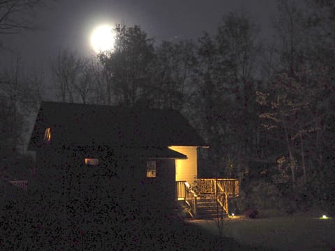A real Owl Moon Night at the cottage, courtesy of our guests Bill and Judy.