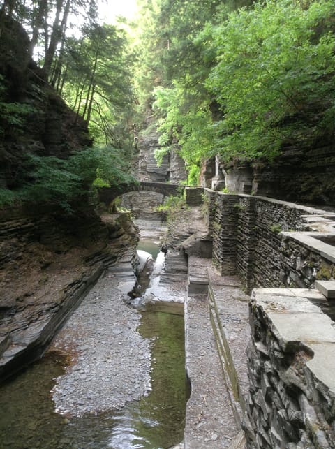 An iconic view of the stone bridge at the top of the Enfield Gorge.  