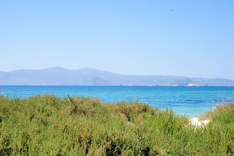 On the beach, sun loungers, beach towels