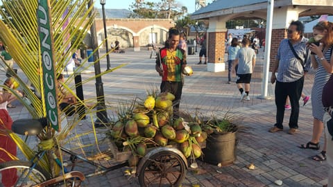 Get fresh Coconut drink at Mallory Square