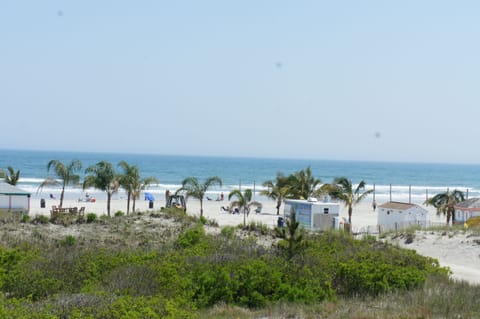 On the beach