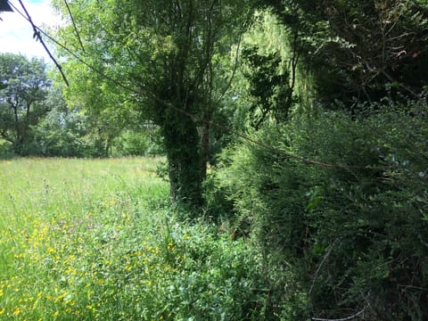Meadow and garden behind
LOIRE river at less than 100m.
