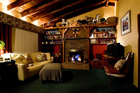TV, fireplace, books, music library