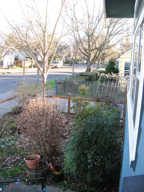 View from the front porch looking over the spring garden.
