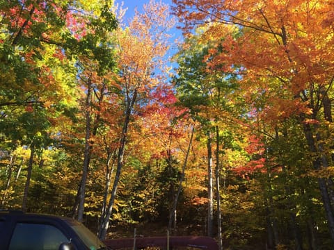 The Fall is beautiful at the cabin.  The best time is late Sept to early Oct.
