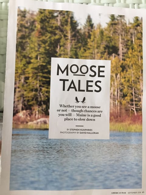 Moose safari are available and very exciting.