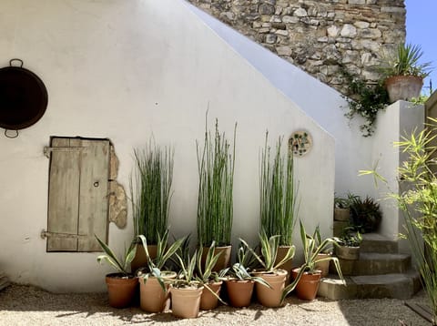 SHELTERED MEDITERRANEAN COURTYARD | A hidden gem with a touch of Iberian allure.