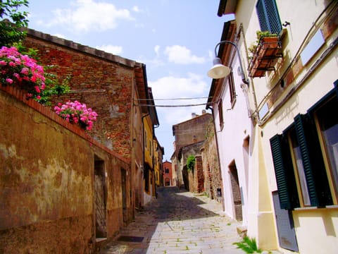Our street in the village