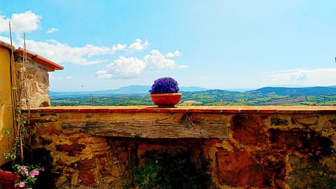 The terrace with view to the sea and Giglio island