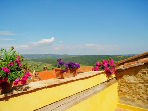 The terrace with view to the sea and Giglio island