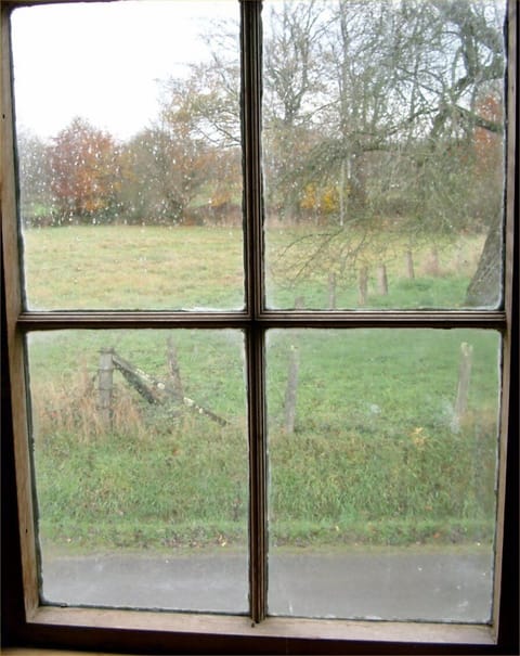 View from the window