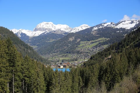 Photo taken from above Lac Vonne - view over Chatel with Cornettes de Bis