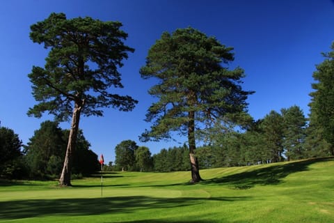 The second green on the Wee Course, Blairgowrie.