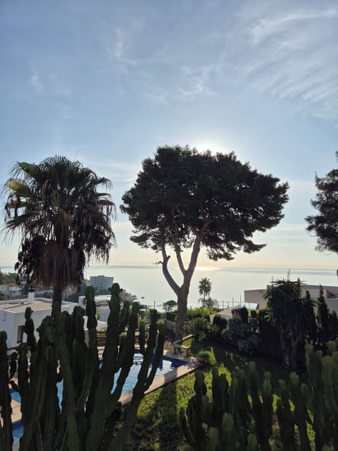 Sea view from the roof on Nov 2025