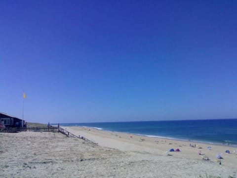 On the beach