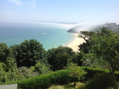 The Haar!