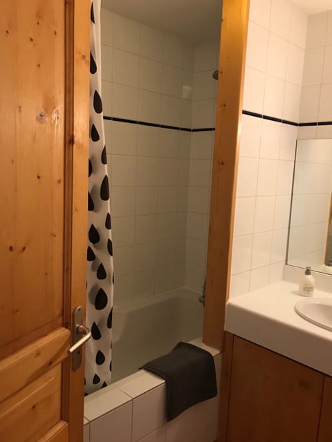 Combined shower/tub, hair dryer, towels, toilet paper