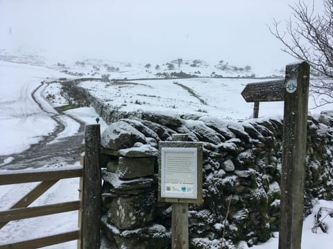 Winter walks and sledging close by