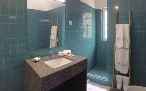 Combined shower/tub, hair dryer, bidet, towels