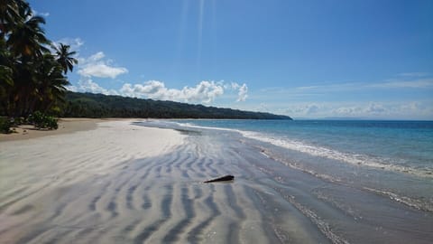 On the beach