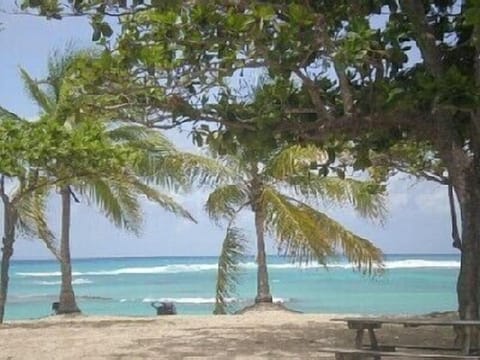 Beach nearby, sun loungers