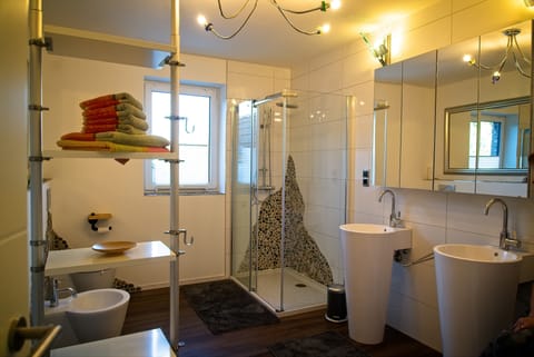 Combined shower/tub, hair dryer, bidet, towels