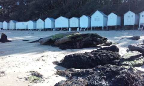 Beach nearby, sun loungers