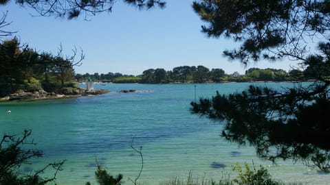 Beach nearby, sun loungers