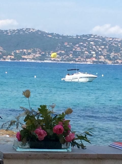 On the beach, sun loungers