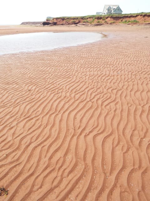 On the beach, sun loungers