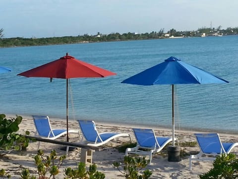 On the beach, sun loungers, beach towels