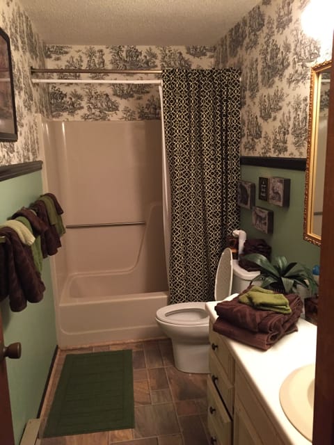 Combined shower/tub, hair dryer, bidet, towels