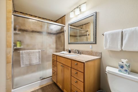 Combined shower/tub, hair dryer, towels, soap