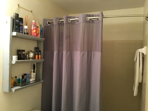 Combined shower/tub, hair dryer, towels, soap