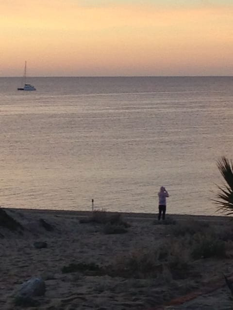 Beach nearby, sun loungers