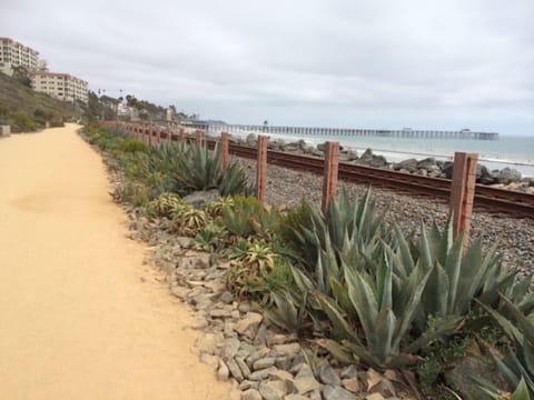 Beach nearby, sun loungers, beach towels