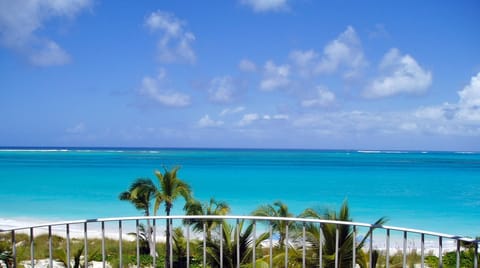 On the beach, sun loungers, beach towels