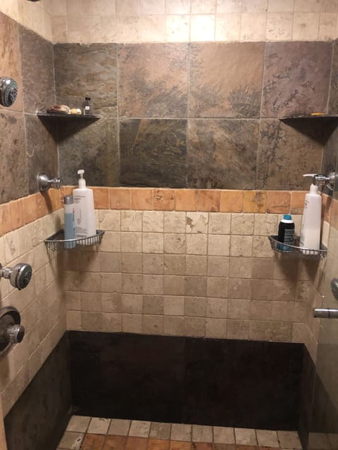 Combined shower/tub, jetted tub, hair dryer, bidet