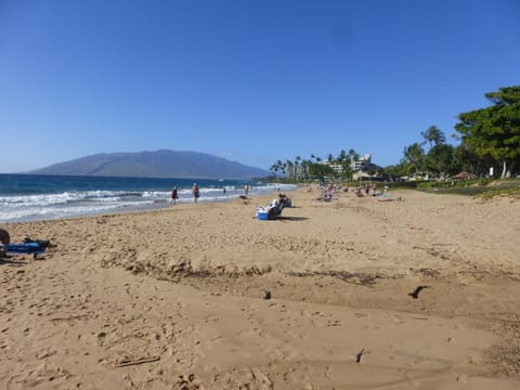 Beach nearby, sun loungers, beach towels