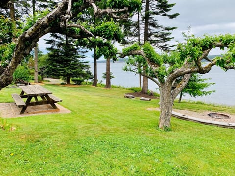 Waterfront location with picnic table and firepit
