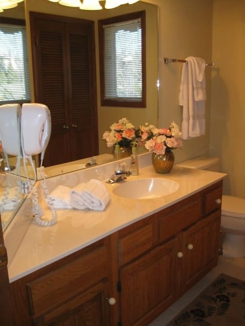 Combined shower/tub, jetted tub, hair dryer, towels