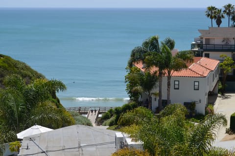 View from the roof top.  SC beach trail and Mariposa beach access 2min walk