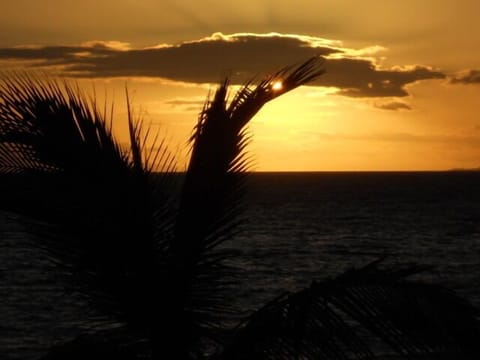 Beach nearby, sun loungers, beach towels