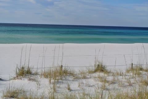 On the beach